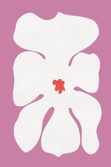 Weiße Orchideenblume