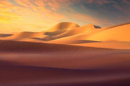 Wüste bunt