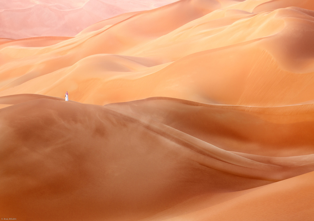 Wüstenschönheit von Anas AlSubhi