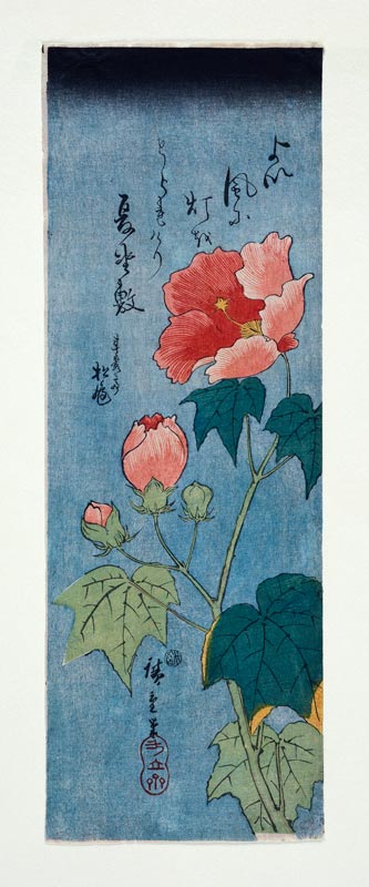 Blühender Mohn. von Ando oder Utagawa Hiroshige