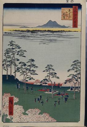 Blick vom Asukayama nach Norden (Einhundert Ansichten von Edo)