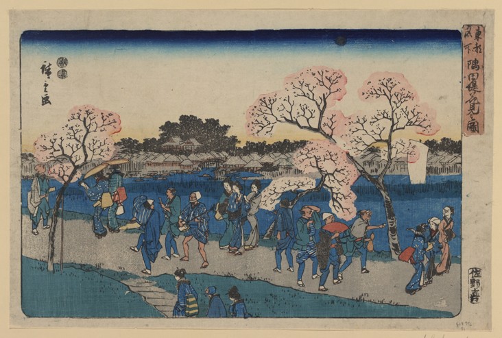 Kirschbäume in voller Blüte entlang des Sumida-Flusses. (Sumida tsutsumi hanami no zu) von Ando oder Utagawa Hiroshige