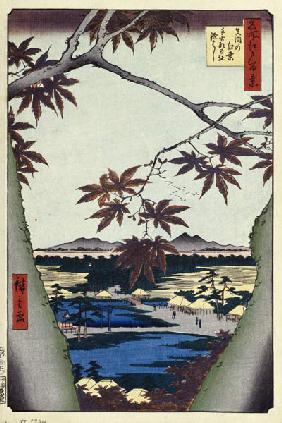 Ahornbäume in Mama, der Tekona Schrein und die Brücke von Mama (Einhundert Ansichten von Edo)