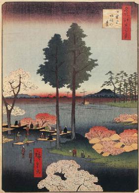 Suwanodai in Nippori (Einhundert Ansichten von Edo)