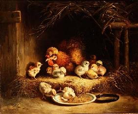 Hen with her Chicks 1867