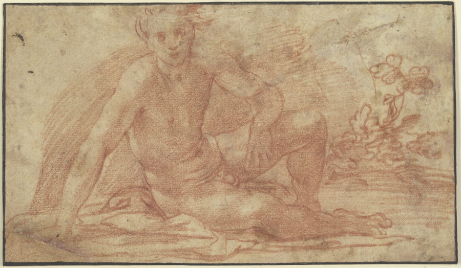 Sitzender Jünglingsakt mit aufgestützter rechter Hand von Andrea del Sarto