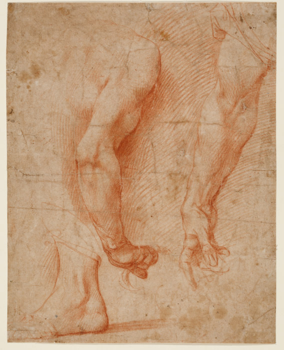 Studien von zwei Armen und eines Fußes von Andrea del Sarto