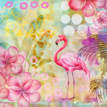 Flamingo-Paradies 2