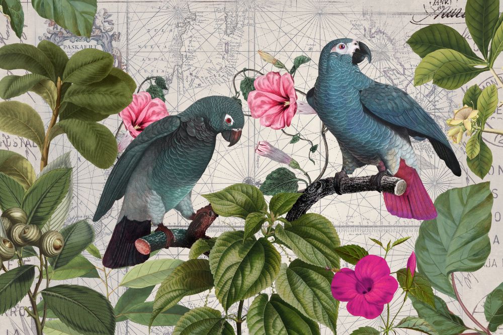 Papageien Nostalgische Reise Kopie von Andrea Haase