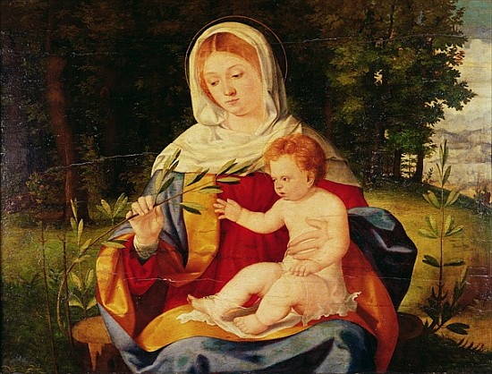 The Virgin and Child with a shoot of Olive, c.1515 von Andrea Previtali