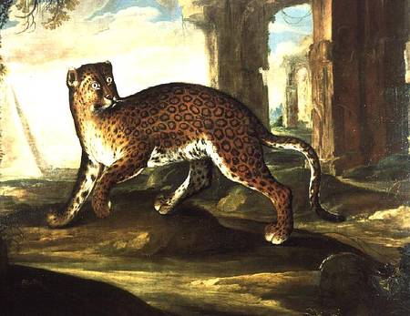 A Jaguar von Andrea the Elder Scacciati