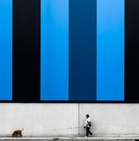 Mann mit rotem Hund auf blauem Hintergrund