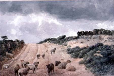 Sheep on the Surrey Hills von Andrew Beavis