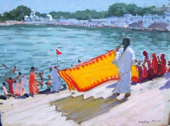 Drying Sari, Pushkar von Andrew  Macara
