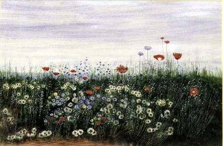 Poppies, Daisies and other Flowers by the Sea von Andrew Nicholl