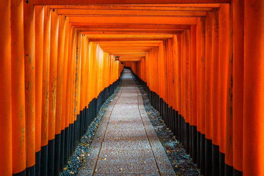 Der rote Weg des Fushimi-Inari-Tors von Andrew Suryono