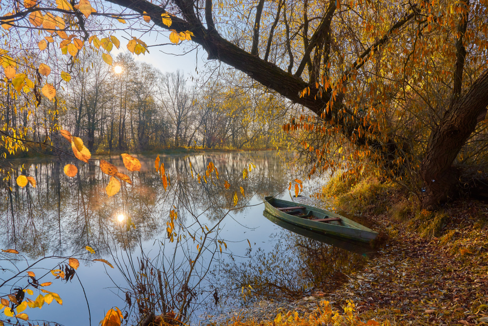 Goldener Herbst von Andrii Kazun