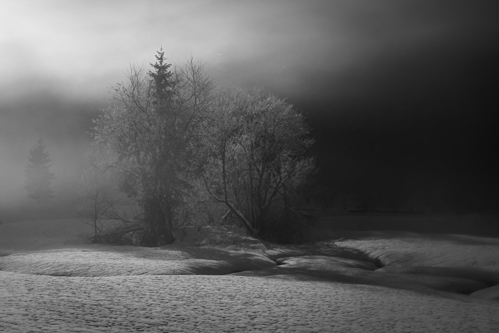 Der Winter malt in Schwarzweiß von Andy Dauer