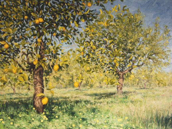 Impossibility of a lemon tree von Angus Hampel