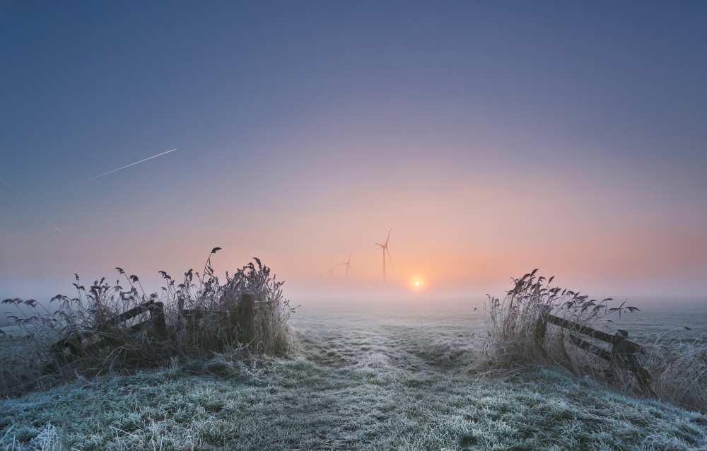 Frosty Morning von Anna Zuidema