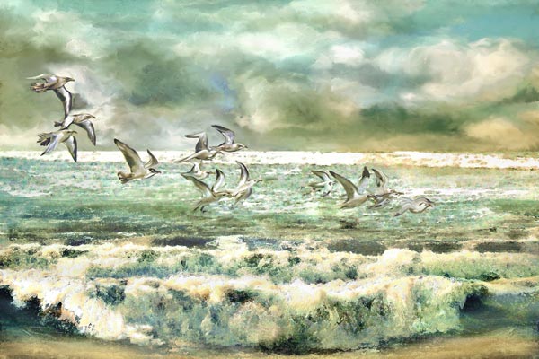 Möwen am Meer von Anne Weirich