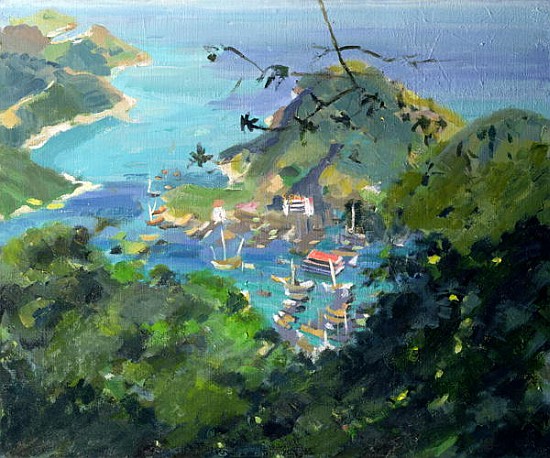 View of Aberdeen from the Peak, Hong Kong (oil on canvas)  von Anne  Durham