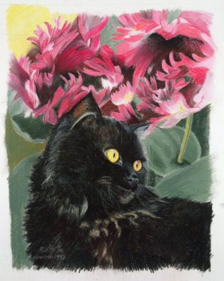 Black tulips von Anne  Robinson