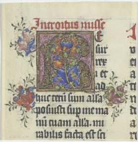 Initiale R (verso Textfragment)