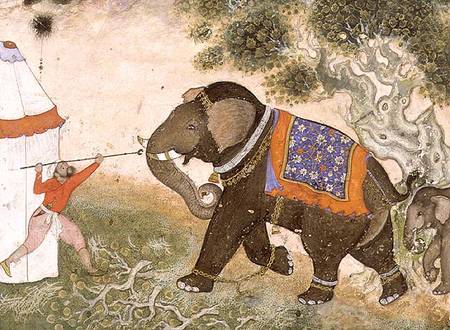 52.43 An enraged elephant, Mughal von Anonymous