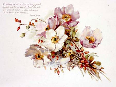 Friendship, Victorian, book illustration of flowers von Anonymous