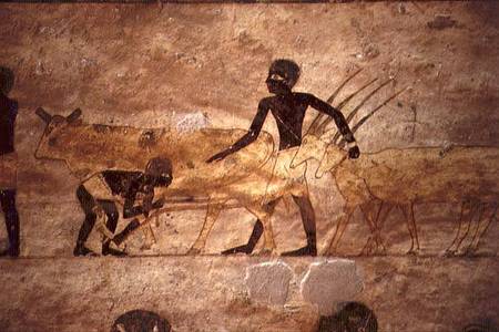 Procession with cattle and gazelles, detail from a tomb wall painting,Egyptian von Anonymous