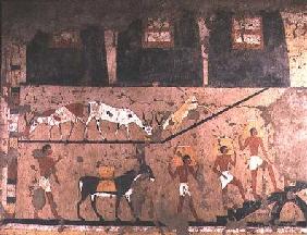 Agricultural scene, wall painting removed from the Mastaba of Ti at Sakkara, Old Kingdom 5th Dynast