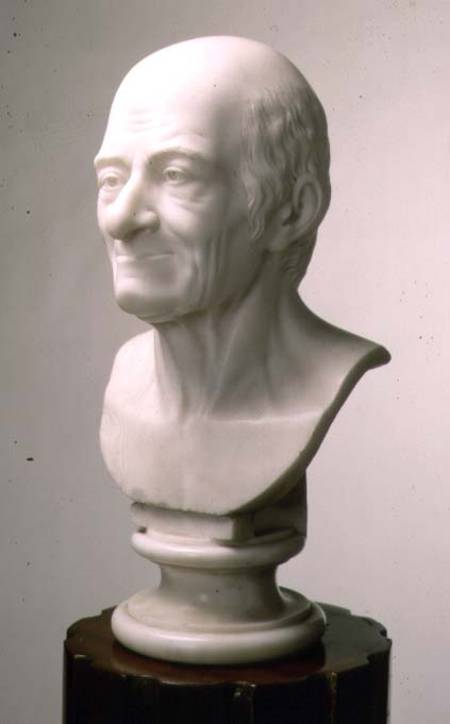 Marble bust of Voltaire von Anonymus