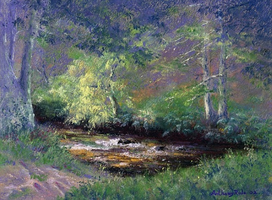Forest Stream von Anthony  Rule