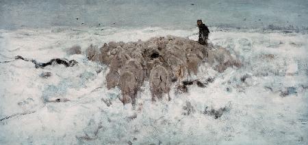 Flock of Sheep in the Snow