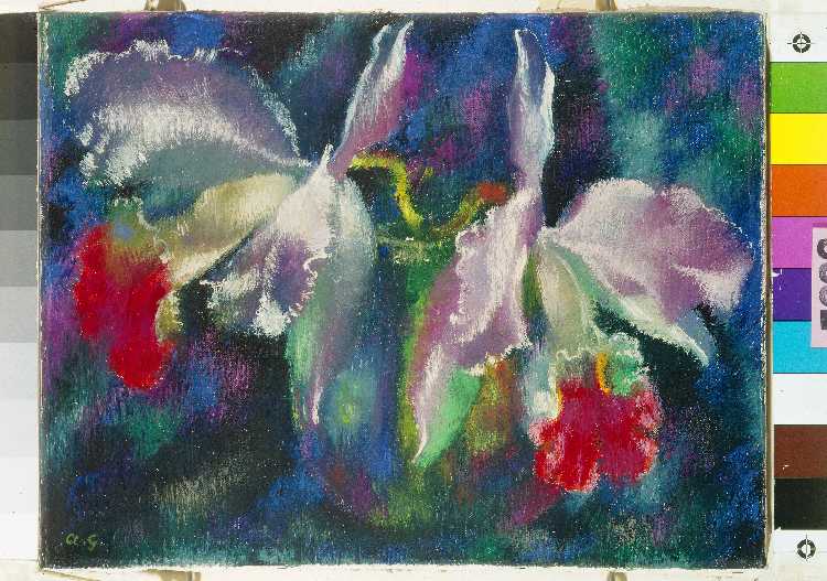 Orchidee von Antonio Augusto Giacometti