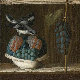 Stillleben mit Trauben und einem Würger Allegorie der Malerei Um 1500
