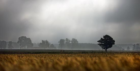 1. Sommerwoche beginnt grau und kalt von Arno Burgi