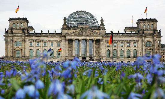 Blumenwiese vor Reichstag von Arno Burgi