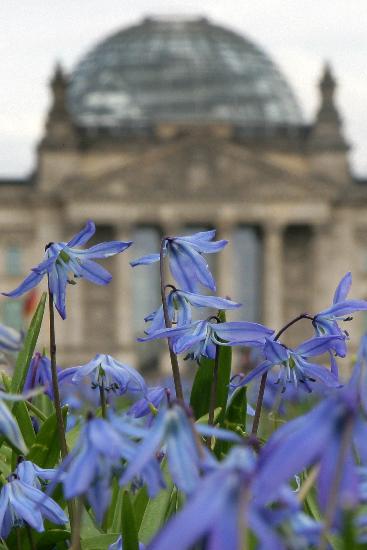 Blumenwiese vor Reichstag von Arno Burgi