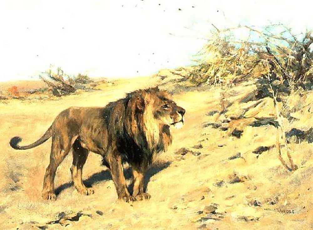 Ein Löwe unter Peeling von Arthur Wardle