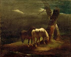 Pferde auf der Weide 1820