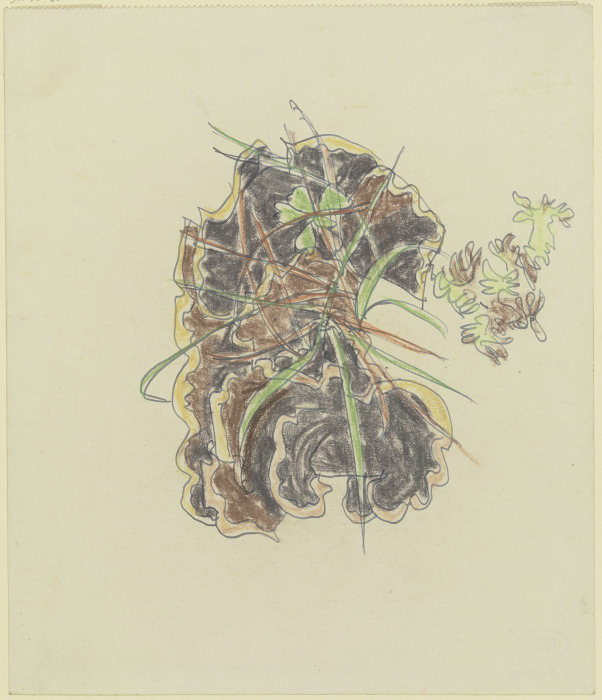 Pflanzenstudie von August Babberger