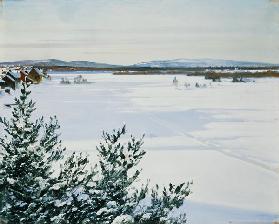 Sonnige Winterlandschaft (Schweden)