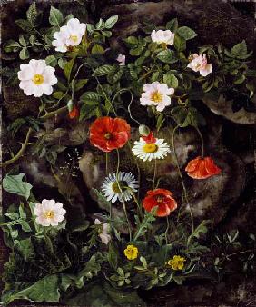 Wildrosen, Mohnblumen und Gänseblümchen an einer Steinbank. 1875