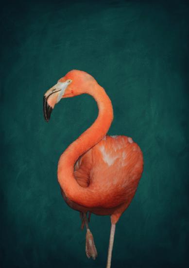 Grüner Flamingo