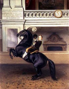 Crown Prince Rudolph of Austria (1858-89) on horseback in the Winter Riding School of the Hofburg, V 1870