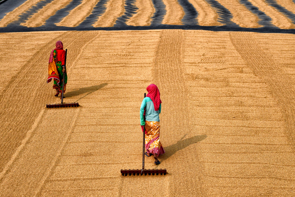 Reisverarbeitung von Avishek Das