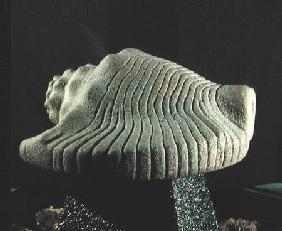 Sea Snail Shell c.1500