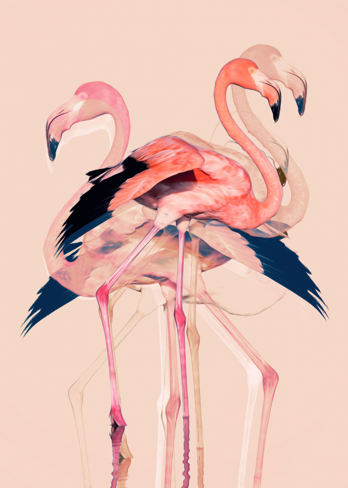 Flamingos Nr. 3 von Baard Martinussen